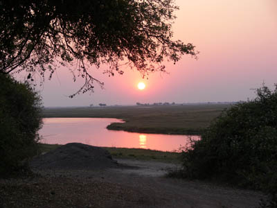 Sonnenuntergang Chobe